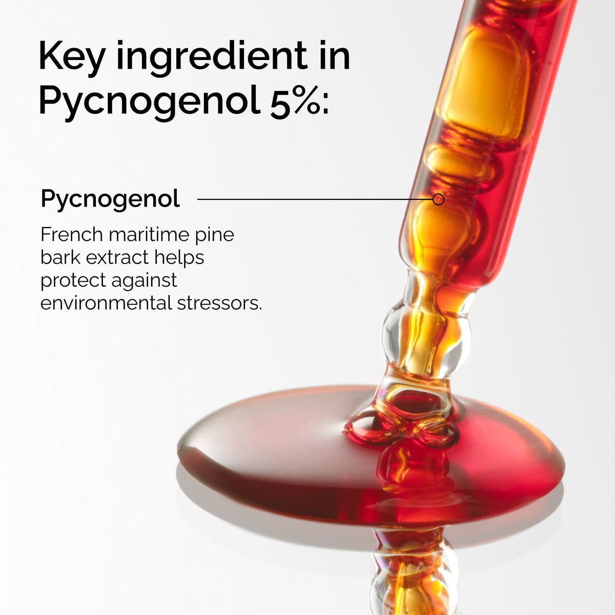 pycnogenol-5-l8 FY25-D41247-ORD-Web-PDP-Pyc-5pct-1x1-EN-2a.jpg