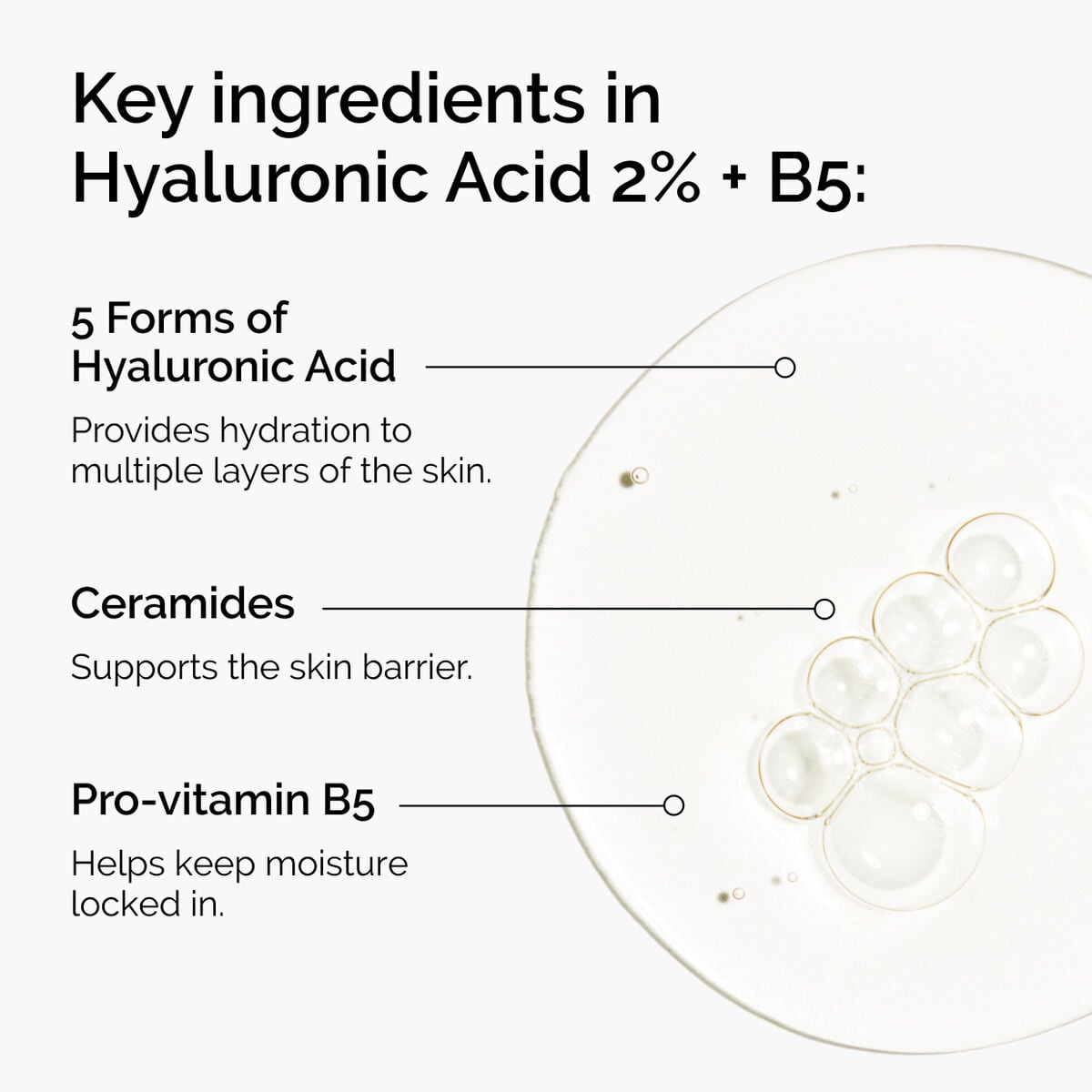 hyaluronic-acid-2-b5-with-ceramides-q4 ord-hyaluronic-acid-2pct-b5-hydrating-serum-ingredients-graphic.jpg