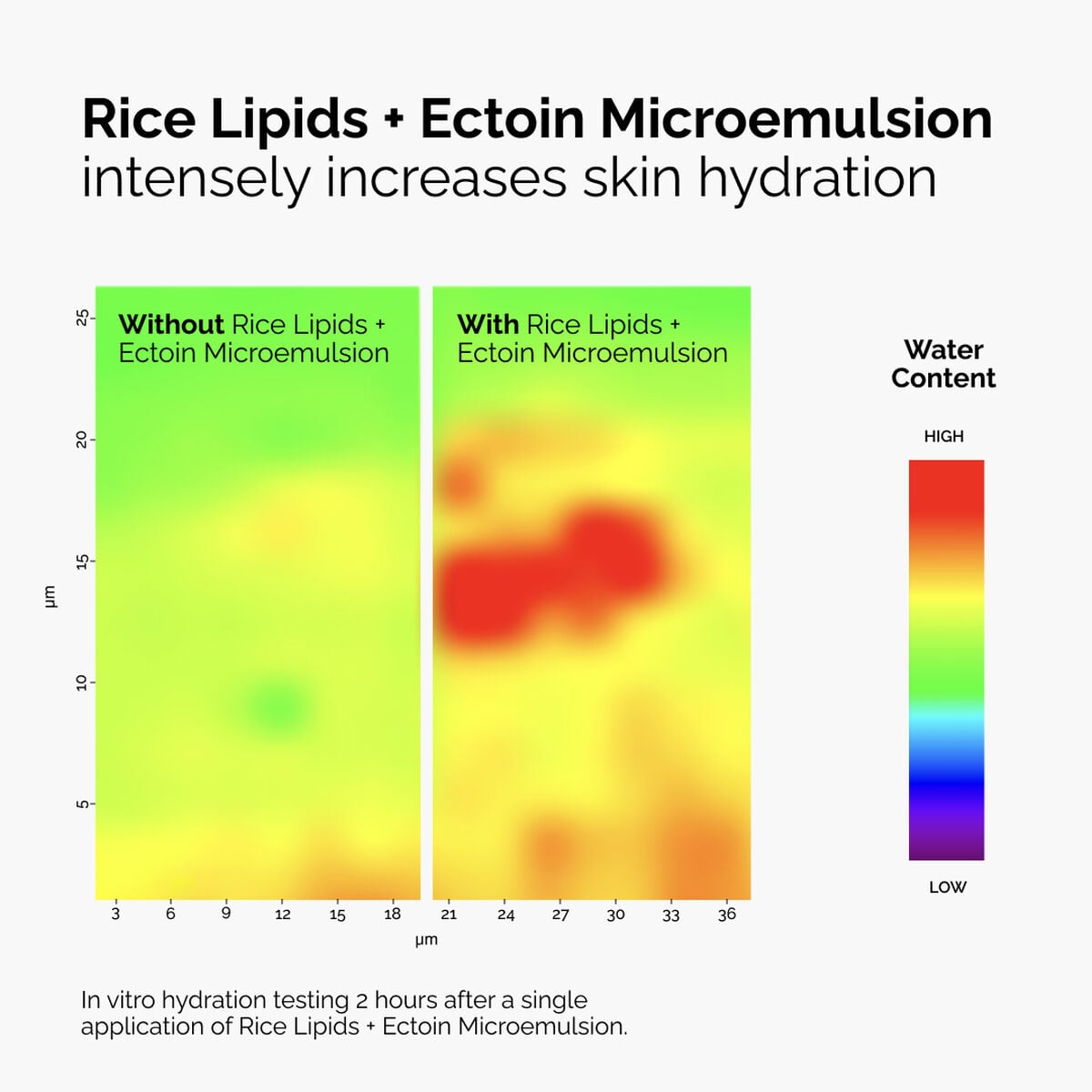 rice-lipids-ectoin-microemulsion-k0 ord-rice-lipids-ectoin-microemulsion-thermal-before-after.jpg